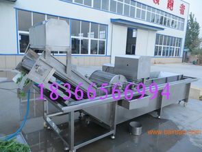 气泡清洗机 高效清洁的大枣与生姜专业设备解决方案