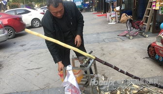 广西糖厂食安事件折射产业短板 甘蔗清洗与空气净化设备研发亟待加强