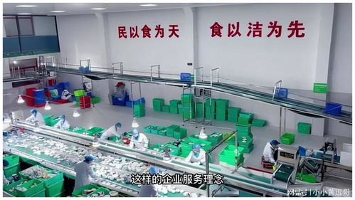 流水线洗碗机 中小型餐具清洗厂的效率与品质革命